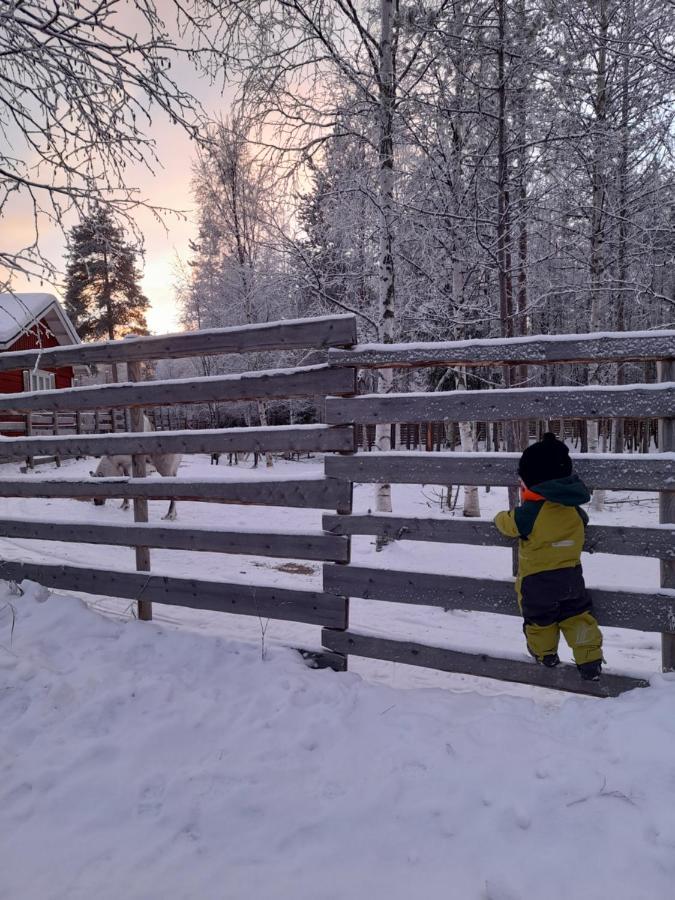 Villa Waeltti Rovaniemi Exteriér fotografie